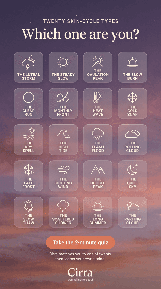 A grid of twenty skin-cycle types, each with a weather icon and a name.